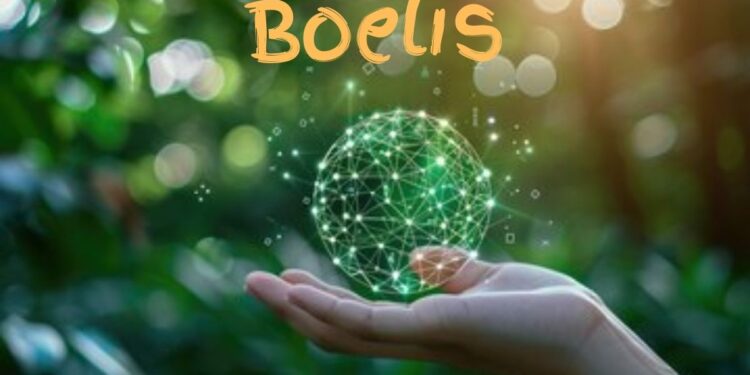 Boelis
