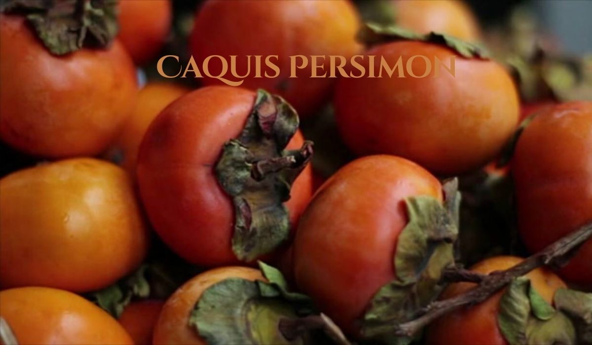 Caquis Persimon