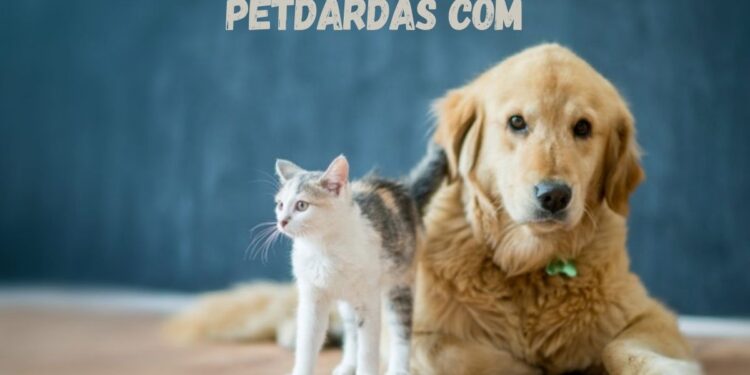 Petdardas com