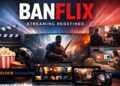 Banflix