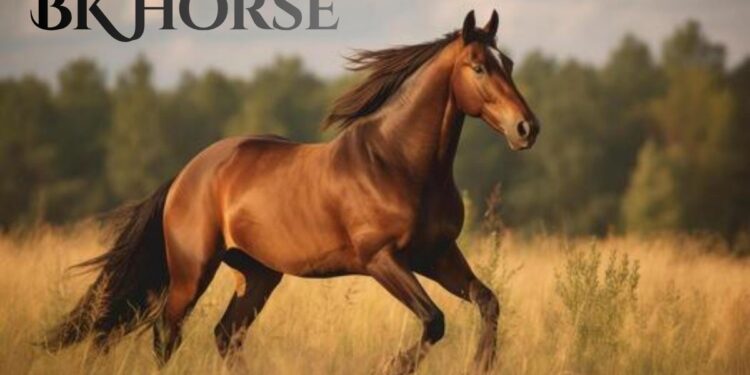 BK Horse