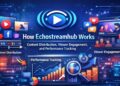 Echostreamhub